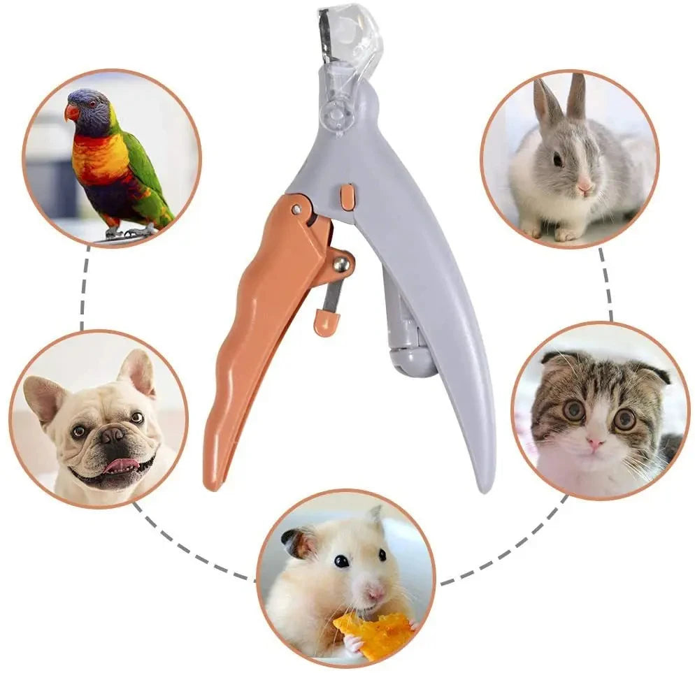 Professionelle Haustierkrallen-Schere mit LED-Licht – Nagelschneider für Hunde & Katzen